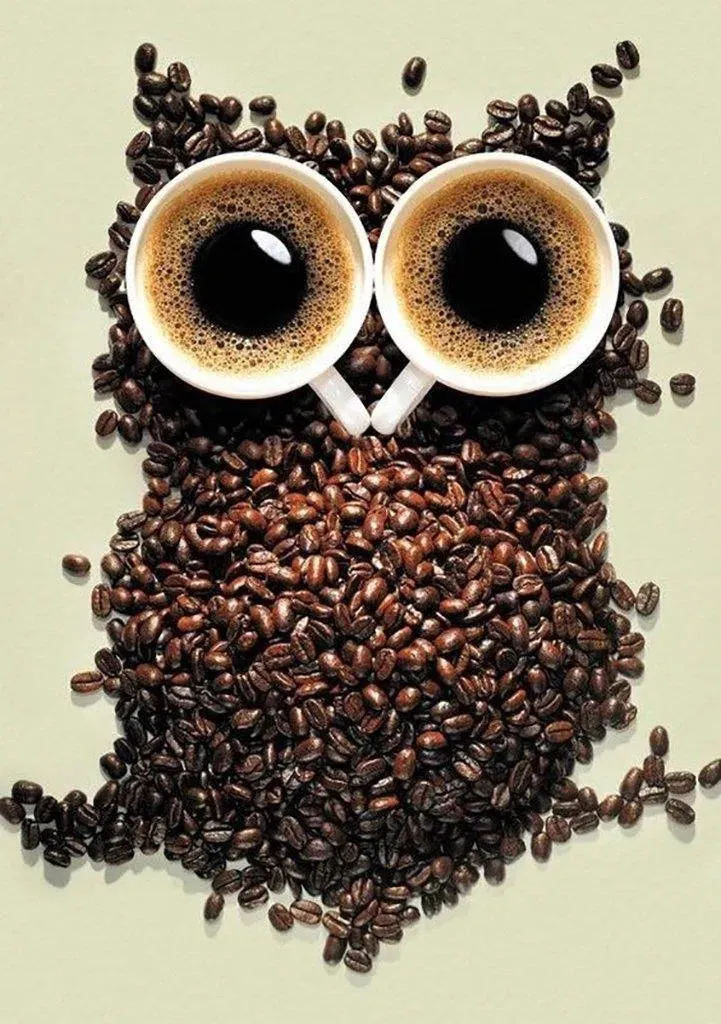 Coffee Owl WD242 7.9 x 11.8 inches Wizardi Diamond Painting Kit