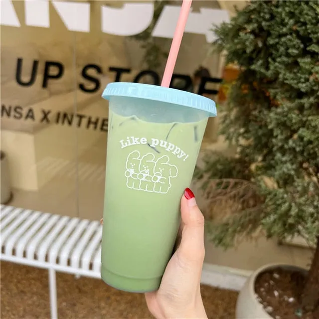 Kawaii Cute With Lid Straw Water Bottle