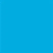 Savage Widetone Seamless Background Paper ( Blue Jay 107" x 36)