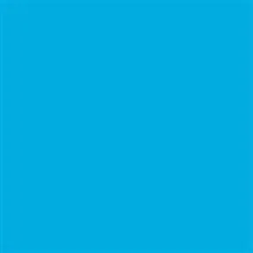 Savage Widetone Seamless Background Paper ( Blue Jay 107" x 36)