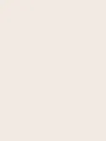 Savage Widetone Seamless Background Paper (Bone, 53" x 36)