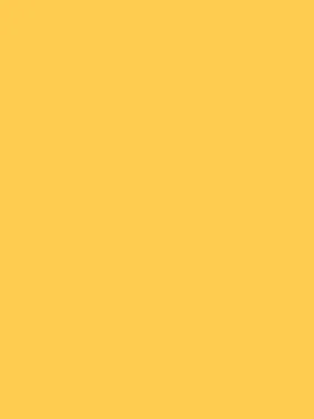 Savage Widetone Seamless Background Paper (Sand 86”X12yds)