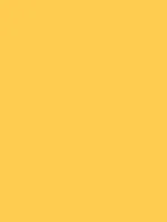 Savage Widetone Seamless Background Paper (Sand 86”X12yds)