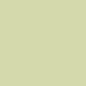Savage Widetone Seamless Background Paper ( Sea Green 86" x 36’)