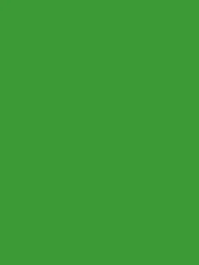 Savage Widetone Seamless Background Paper (Tech Green, 53" x 36)