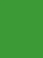 Savage Widetone Seamless Background Paper (Tech Green, 53" x 36)