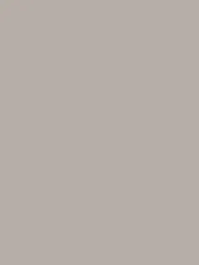 Savage Widetone Seamless Background Paper (TV Gray, 53" x 36)