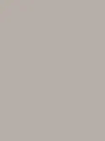 Savage Widetone Seamless Background Paper (TV Gray, 53" x 36)