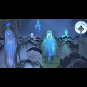 Spirits in Cemetery DVD w/ Digital Files Coupon