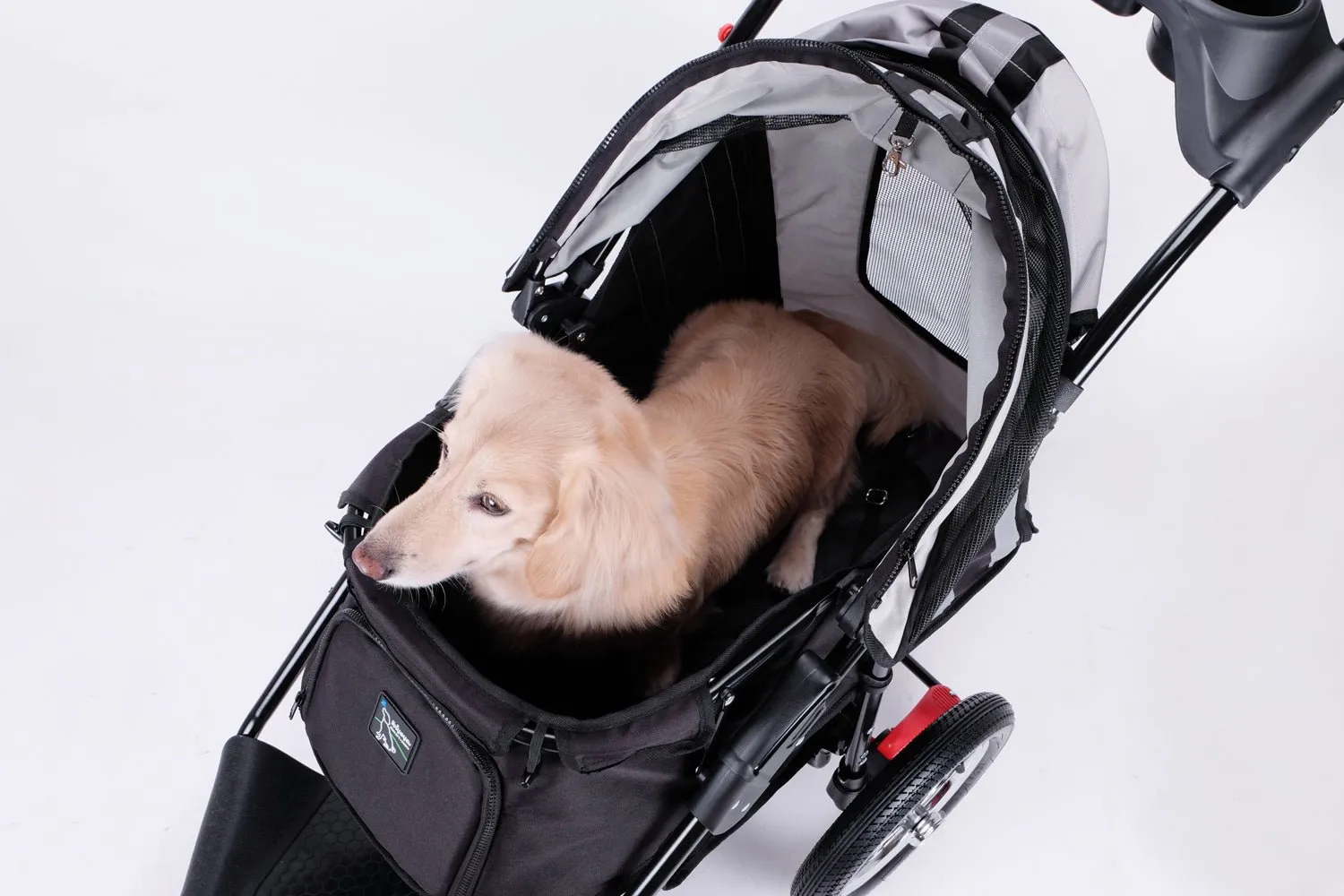 Turbo Pet Jogger - Black
