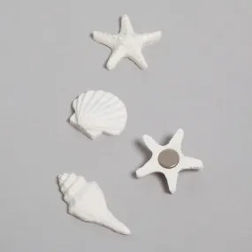 U Brands Sea Shells Magnets, 4 CT