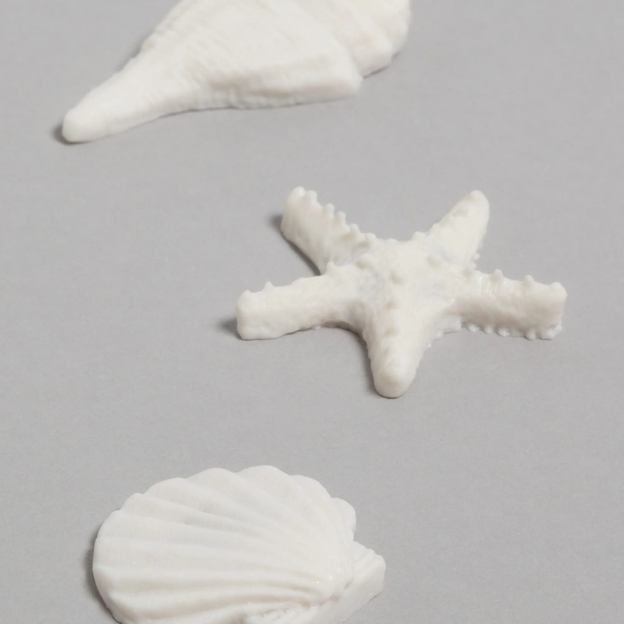 U Brands Sea Shells Magnets, 4 CT