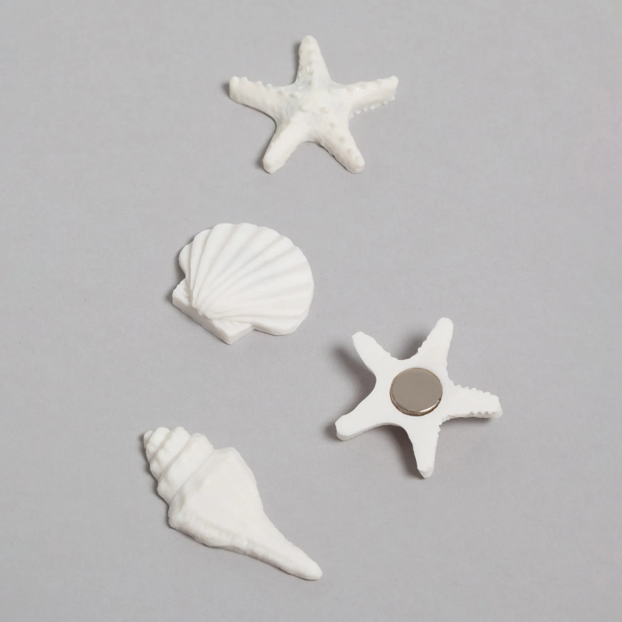 U Brands Sea Shells Magnets, 4 CT